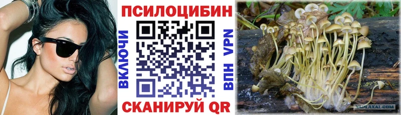 Псилоцибиновые грибы MAGIC MUSHROOMS  Мещовск 